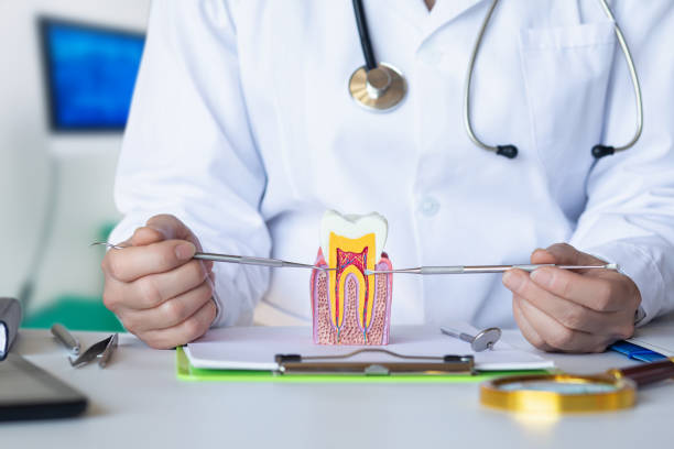 Best Emergency Root Canal Treatment in Saylorsburg, PA